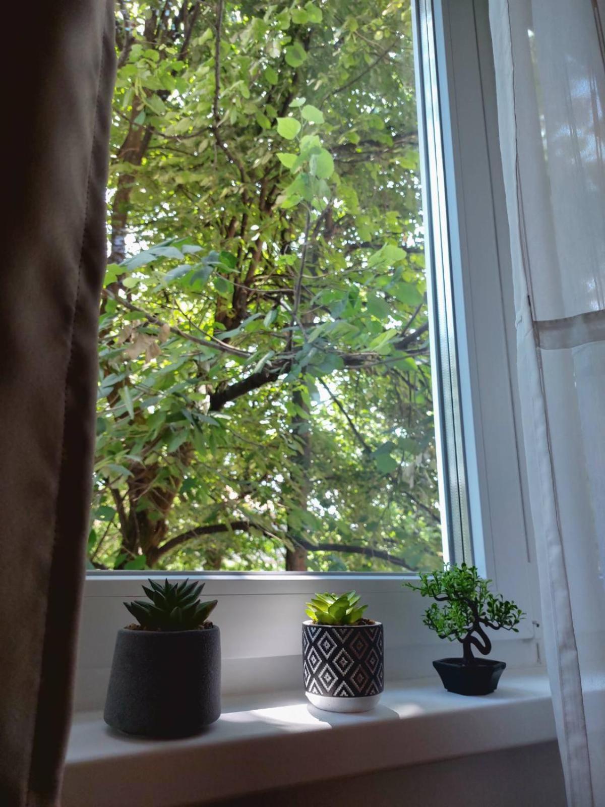 Apartman Rejna Σαράγεβο Εξωτερικό φωτογραφία