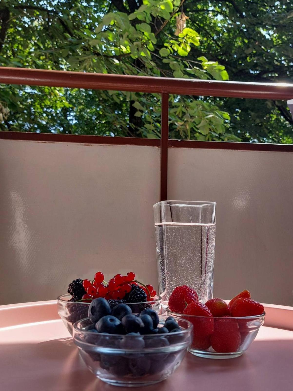 Apartman Rejna Σαράγεβο Εξωτερικό φωτογραφία